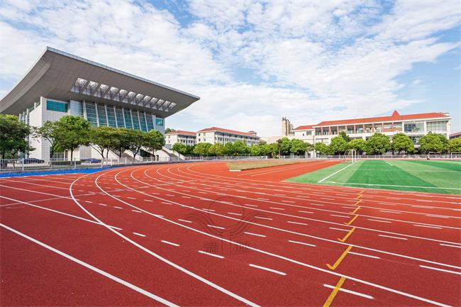 解鎖運動新潮流!全塑型SPU跑道，你的綠色健身新伙伴